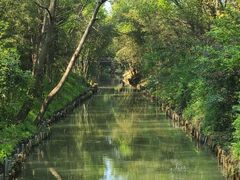 -同里国家湿地公园