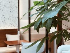 -Line 咖啡(石厦花园店)