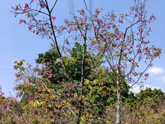 -中国移动南方基地