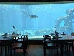 -海棠湾洲际-涛·海底餐厅·美人鱼·自助餐·海底隧道