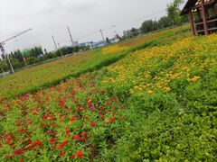 -河北省园博园