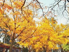 -四川大学(华西校区)