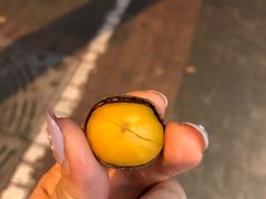 糖炒栗子-陈记栗子(长宁路店)