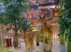 -鲁比猴非洲探索部落(喜盈门店)