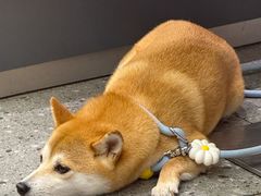 -星巴克臻选(宁波世纪东方广场店)