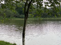 -番禺大夫山森林公园