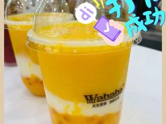 -娃哈哈·奶茶(武林店)