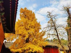 -承恩寺