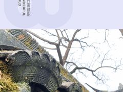 -上海醉白池公园