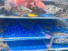 -四道口水产市场