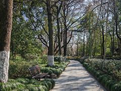 -杭州植物园