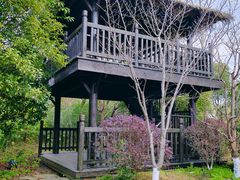 -苏州吴中太湖旅游区