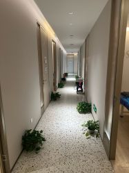 -北京博泽医疗美容门诊部