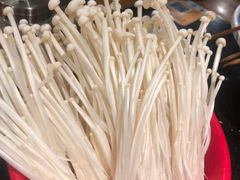 金针菇-潮火锅·麻辣牛肉火锅(观音桥方圆·LIVE店)