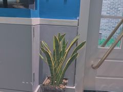 -也枫·小黄楼(南山路旗舰店)