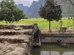 -村上春树