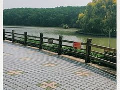 -大湾区中央湿地公园