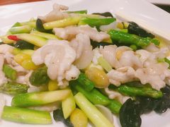 -顺德了能馆(虎门店)