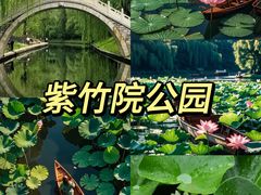 -白洋淀景区