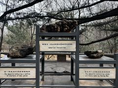 -周口店北京人遗址公园