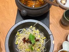 -云海肴·汽锅鸡·云南代表菜(东坝金隅店)