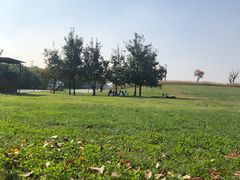 -汉长安城未央宫国家考古遗址公园