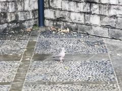 -苏州河梦清园环保主题公园