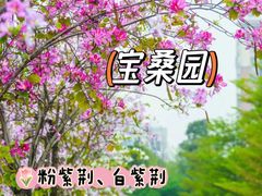 -广东花都湖国家湿地公园