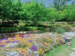 -茅山东方盐湖城景区