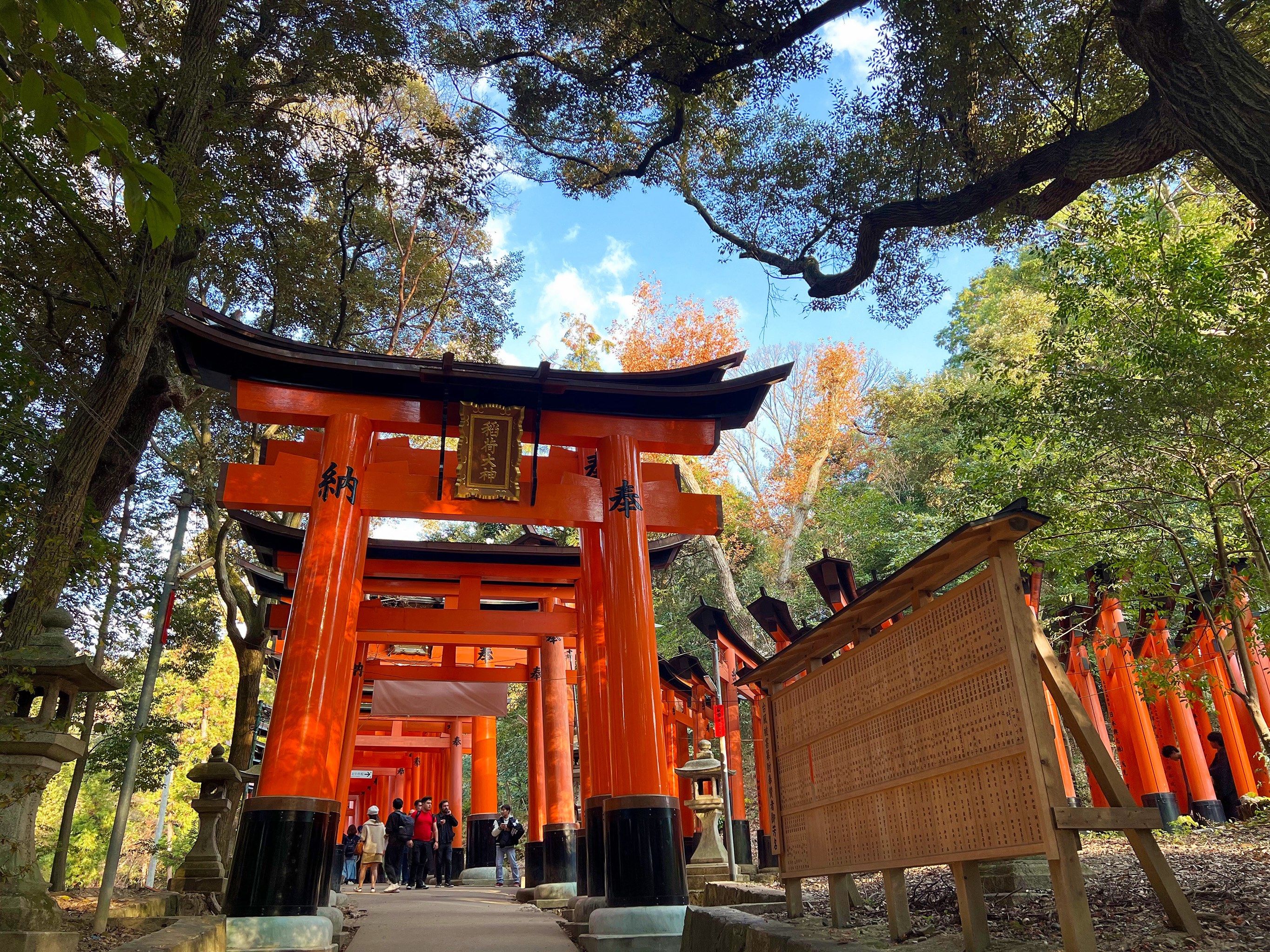 千本鸟居⛩️