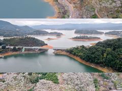 -广州市流溪河国家森林公园