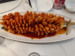 -刘胖子家常菜·蹄花焖藕(中南店)