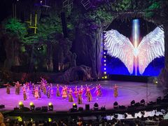 -广州长隆国际大马戏