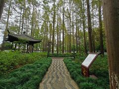 -瀛洲公园
