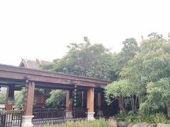 -西双版纳洲际度假酒店-海鲜傣味烧烤·侬香全日制餐厅