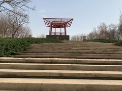 -大望京公园