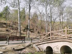 -白水寺森林公园