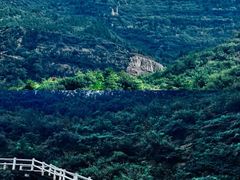 -五龙城郊森林公园