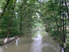 -桤木河湿地公园