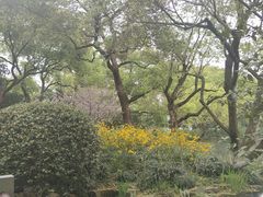 -西湖外事游船(湖滨二公园外事游船码头)