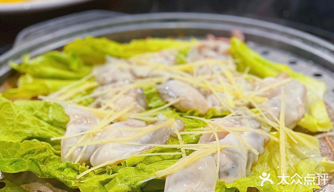 朋友聚餐亲子农庄💚 | 0元免费看羊驼🦙