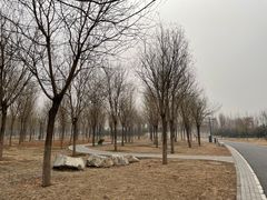 -东郊湿地公园