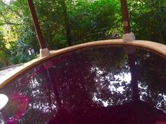 -天目湖涵田半山温泉