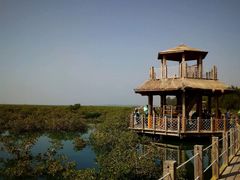 -北海金海湾红树林生态旅游区