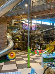 -卡通尼·Safari非洲探索乐园·生日会(金桥国际商业广场店)