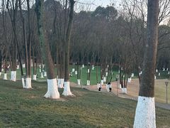 -重庆园博园