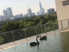 -行者书屋大堂吧 ·下午茶(南京圣和府邸酒店)