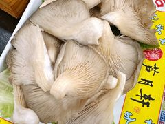 鲜平菇-芦月轩羊蝎子(北蜂窝店)