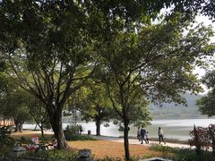-顺峰山公园
