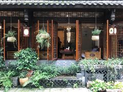 -泡桐树街